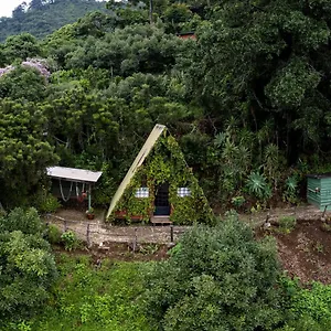 Earth Hotel Antigua